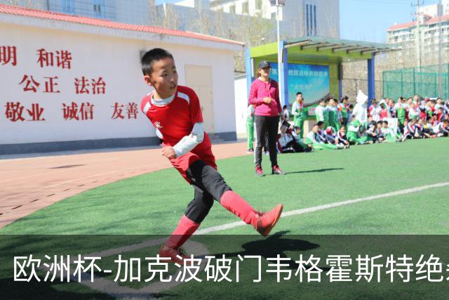 欧洲杯-加克波破门韦格霍斯特绝杀 荷兰2-1波兰